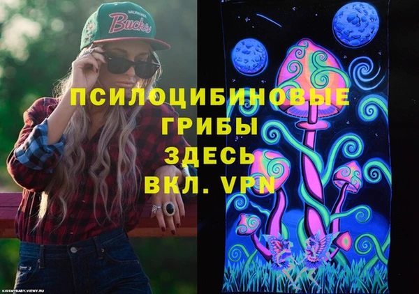 мет Карпинск