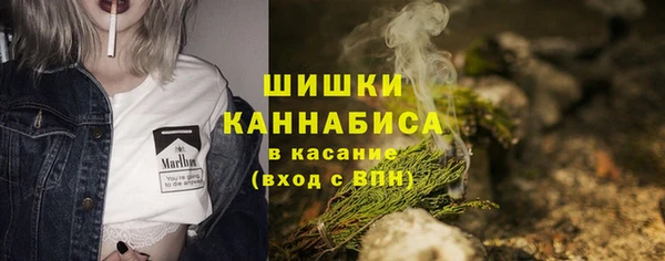мет Карпинск