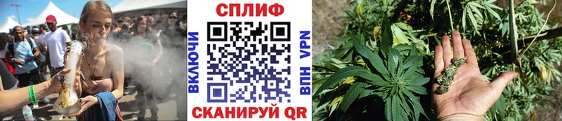 Конопля ГИДРОПОН  Купить закладки  Дегтярск 